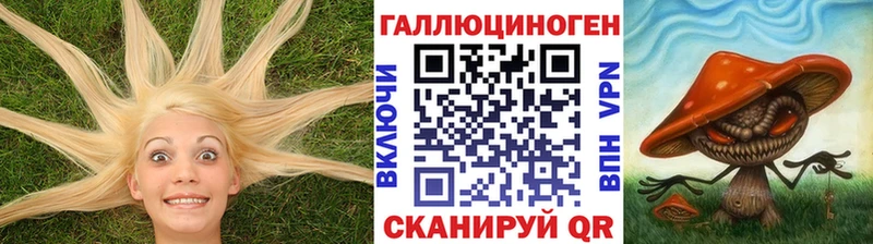 KRAKEN вход  Абаза  Псилоцибиновые грибы мухоморы 